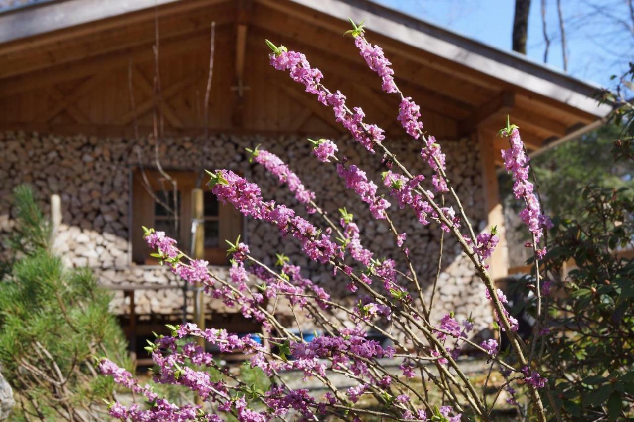 Ferienhaus Waldwinkl Hotel Grainau Luaran gambar